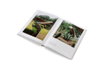 The Avant Gardens