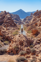 The Great American Road Trip