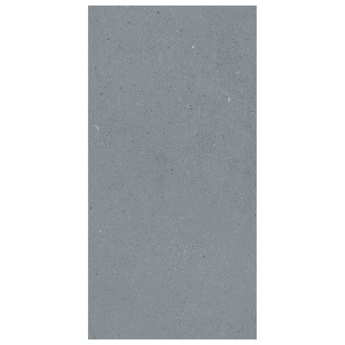 Undefasa Legom Porcelain Tile Collection 12"x24"
