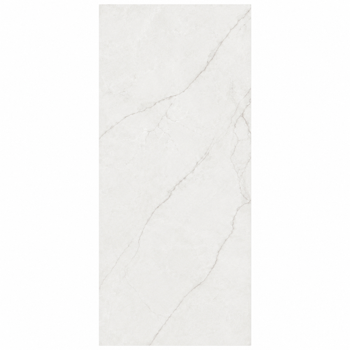 Marble Look Tile 