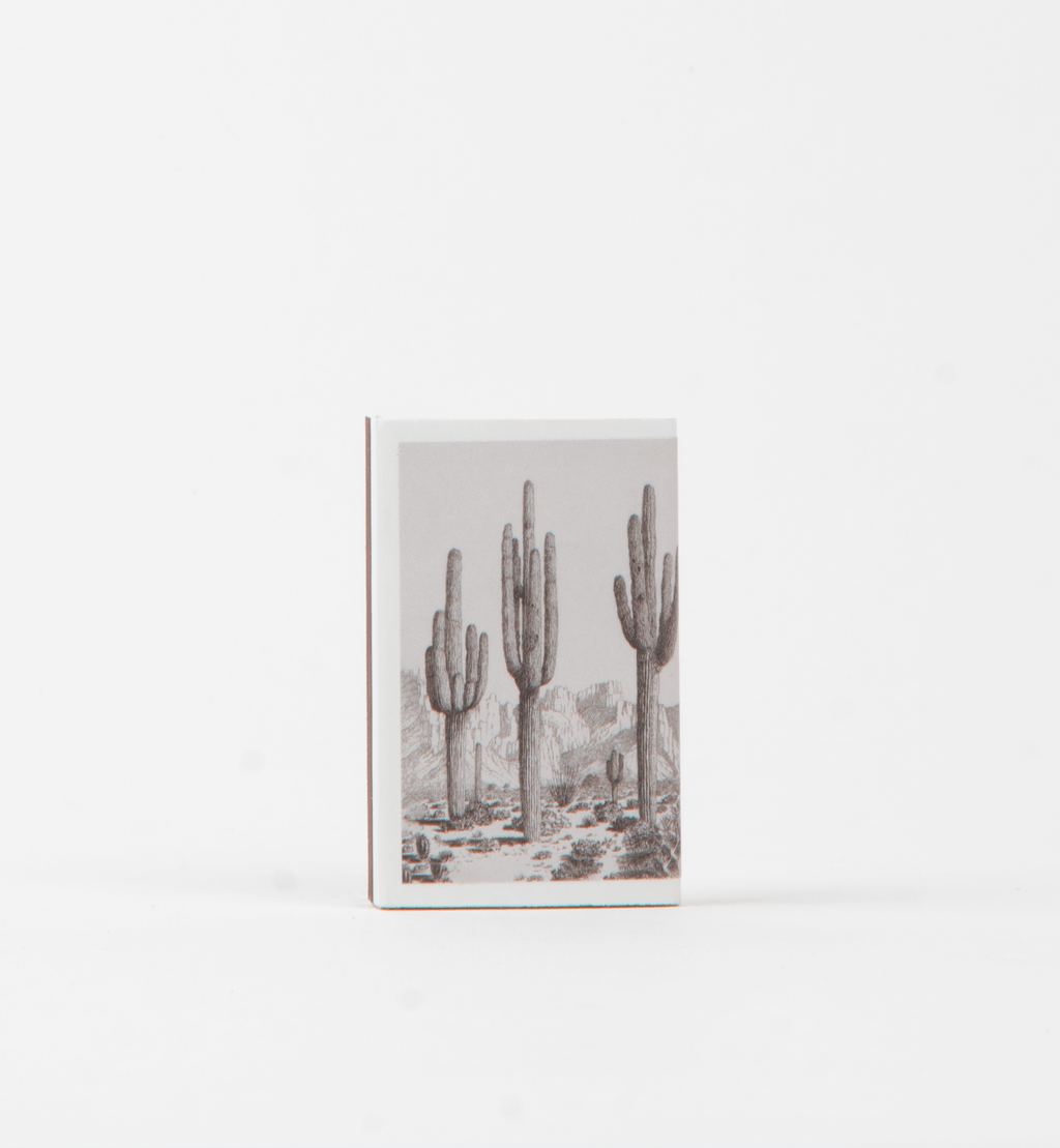 Desert Cactus Match Set - Vintage Landscape