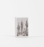 Desert Cactus Match Set - Vintage Landscape