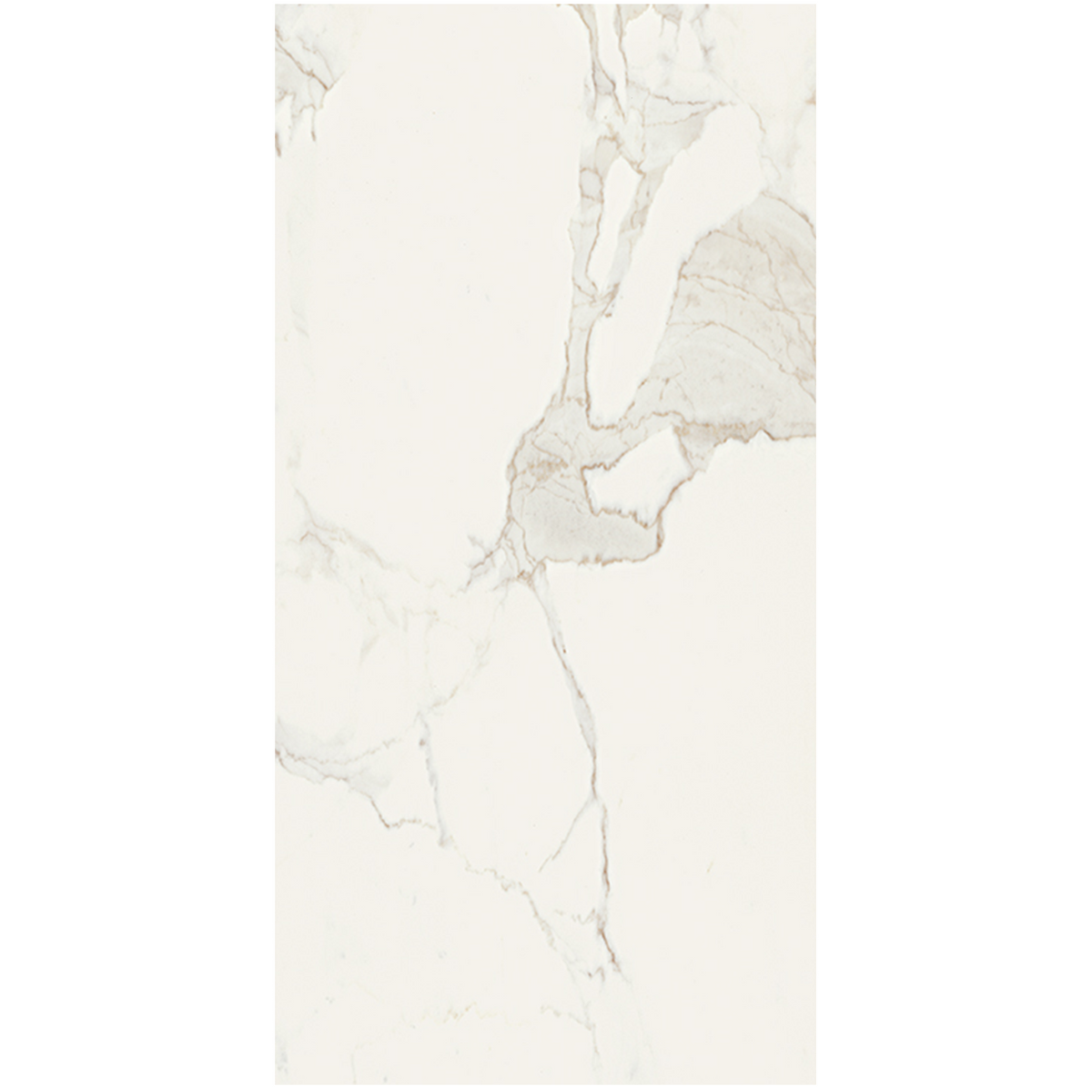 Vallelunga Calacatta porcelain tile, white with gray veining, 24x48 inch