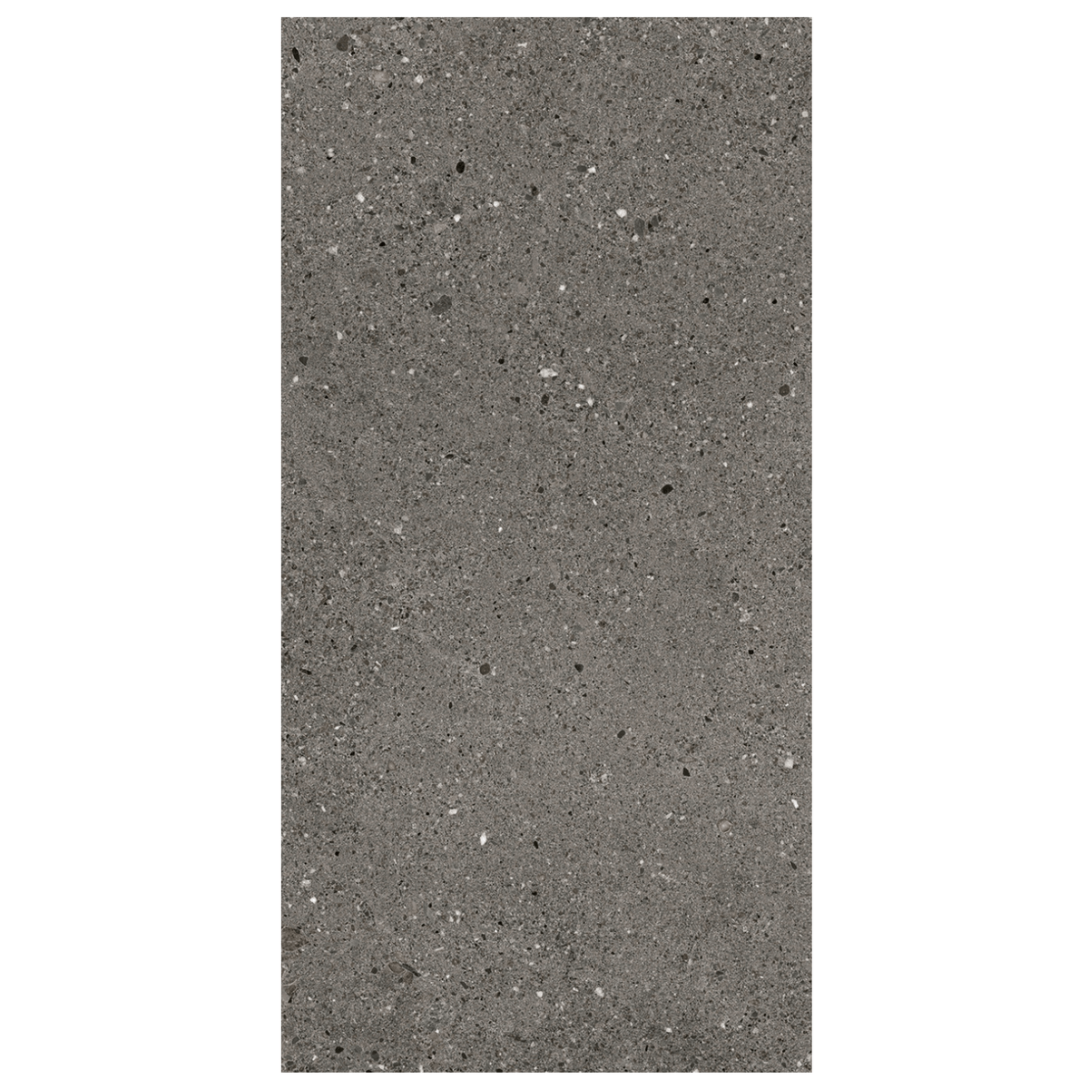 Frammenti Sintesi 12"x24" Porcelain Tile Collection