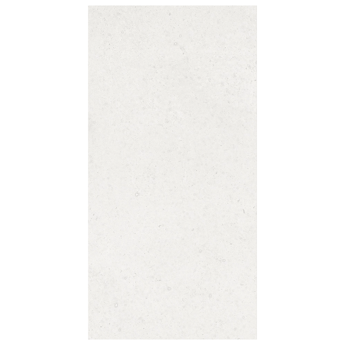 Undefasa Legom Porcelain Tile Collection 12"x24"