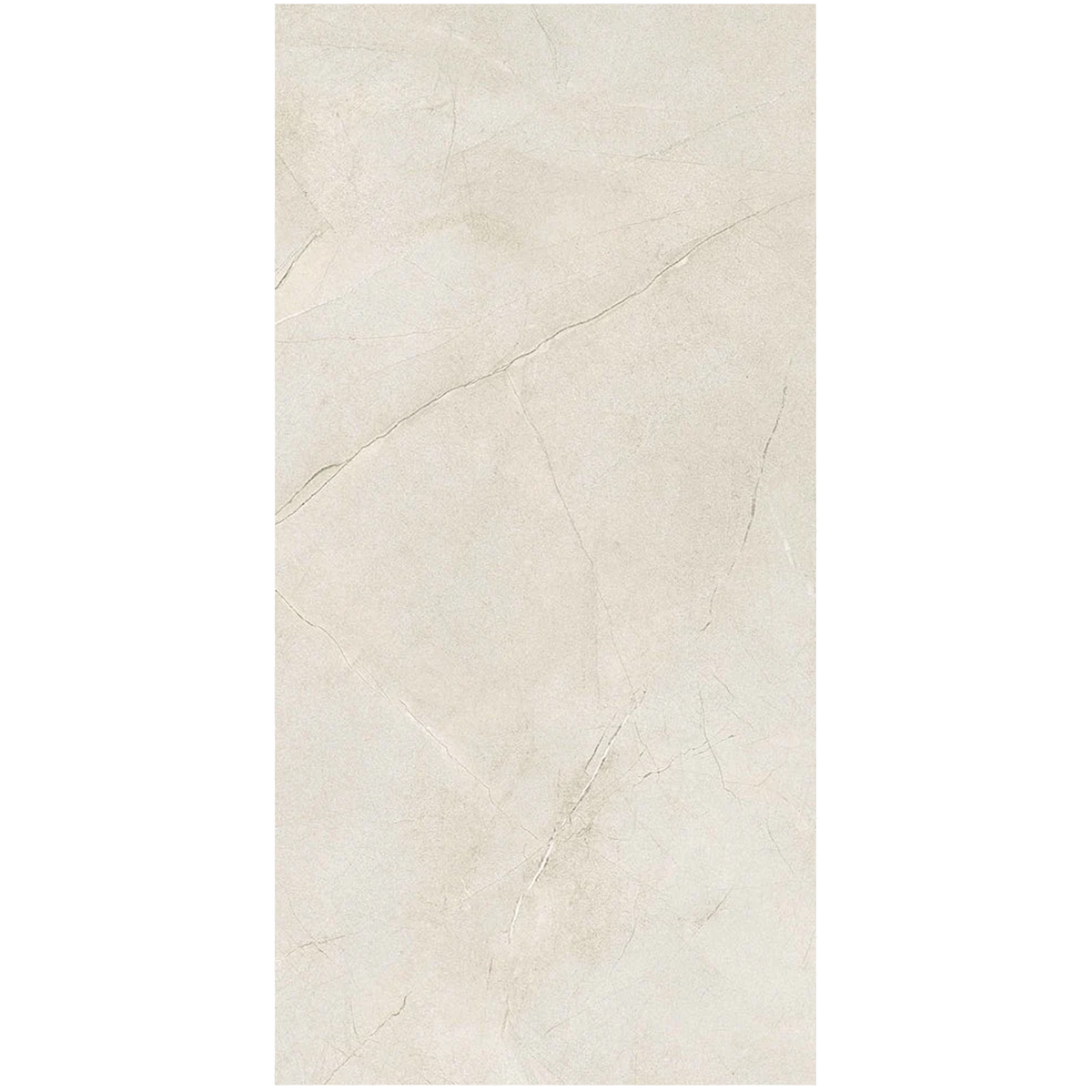 Supreme Memories 24"x48" Porcelain Tile Collection