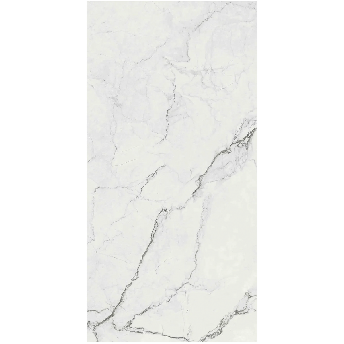 Supreme Memories 24"x48" Porcelain Tile Collection