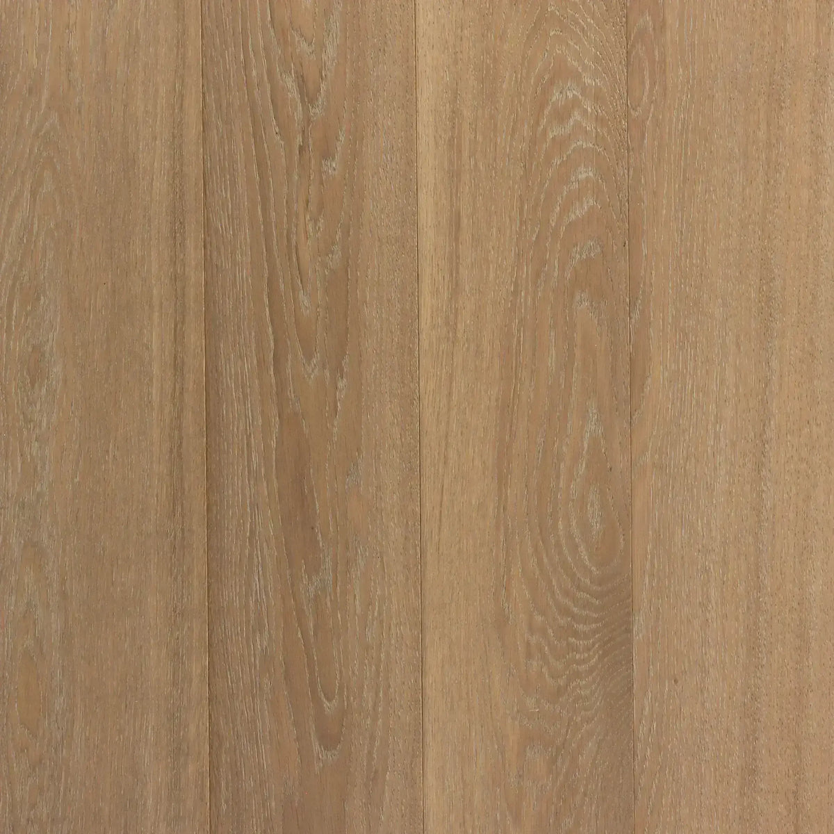 Max Character Grade European Hardwood Flooring 6' x 10"