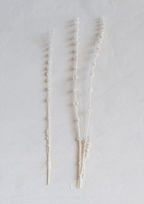 Dried Natural Lions Tail Bunch