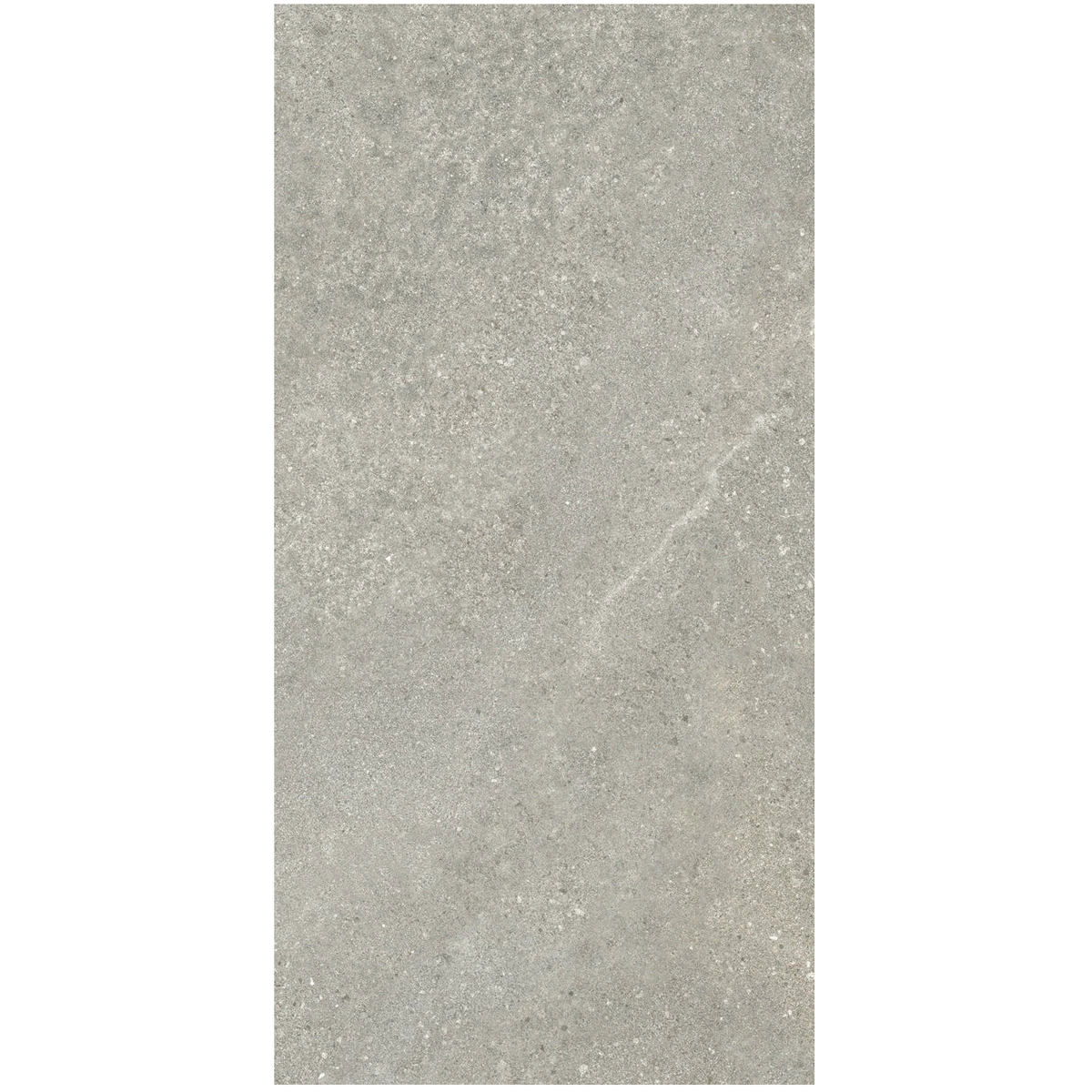 Tycoon Porcelain Field Tile 24"x48"
