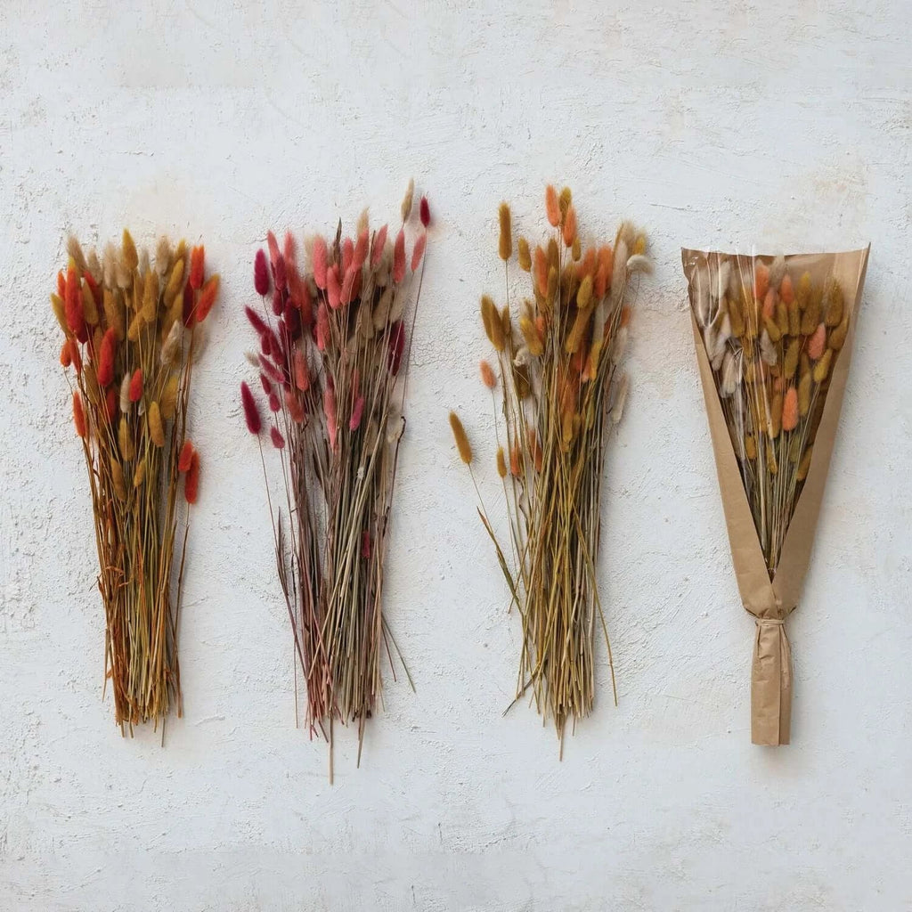 Dried Natural Bunny Tail Bunch, Set of 3