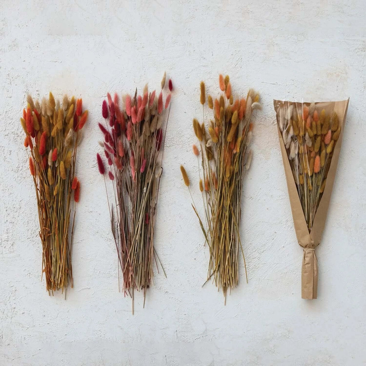 Dried Natural Bunny Tail Bunch, Set of 3