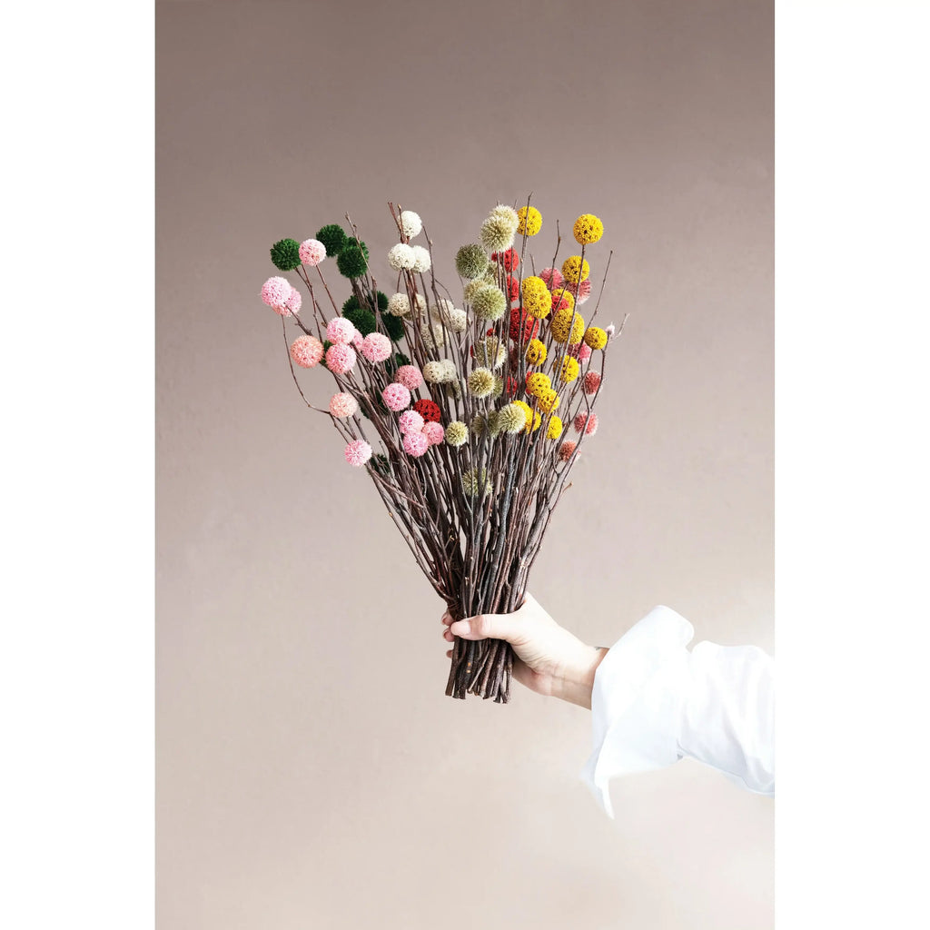 Dried Natural Globe Thistle Bunch in cream
