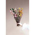 Dried Natural Globe Thistle Bunch in cream